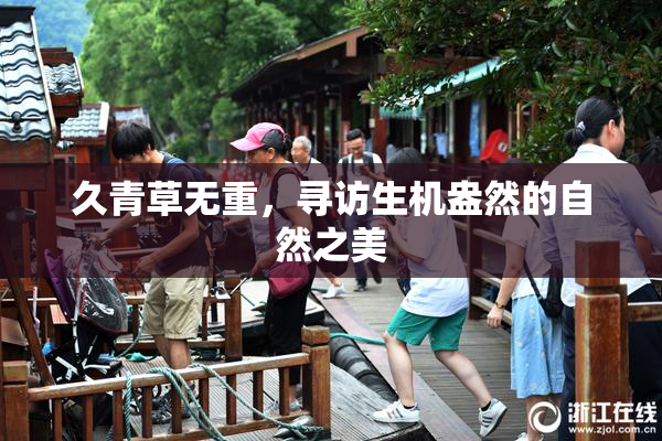 久青草无重，寻访生机盎然的自然之美