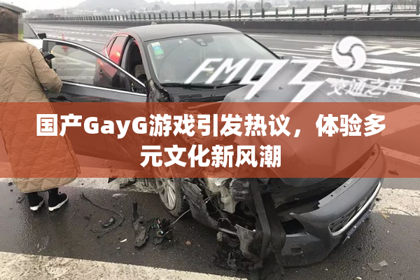 国产GayG游戏引发热议，体验多元文化新风潮