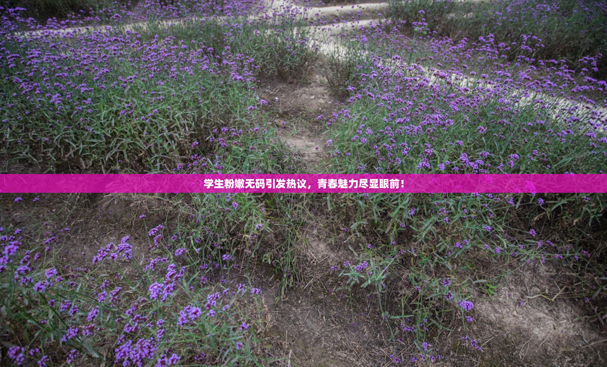 学生粉嫩无码引发热议，青春魅力尽显眼前！