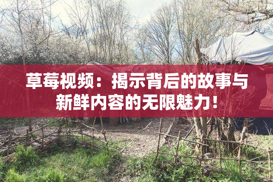 草莓视频：揭示背后的故事与新鲜内容的无限魅力！