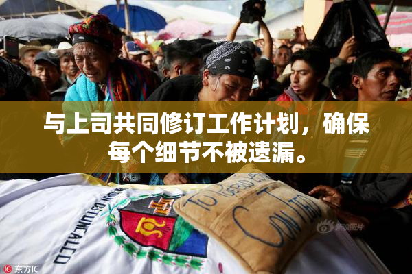 与上司共同修订工作计划，确保每个细节不被遗漏。