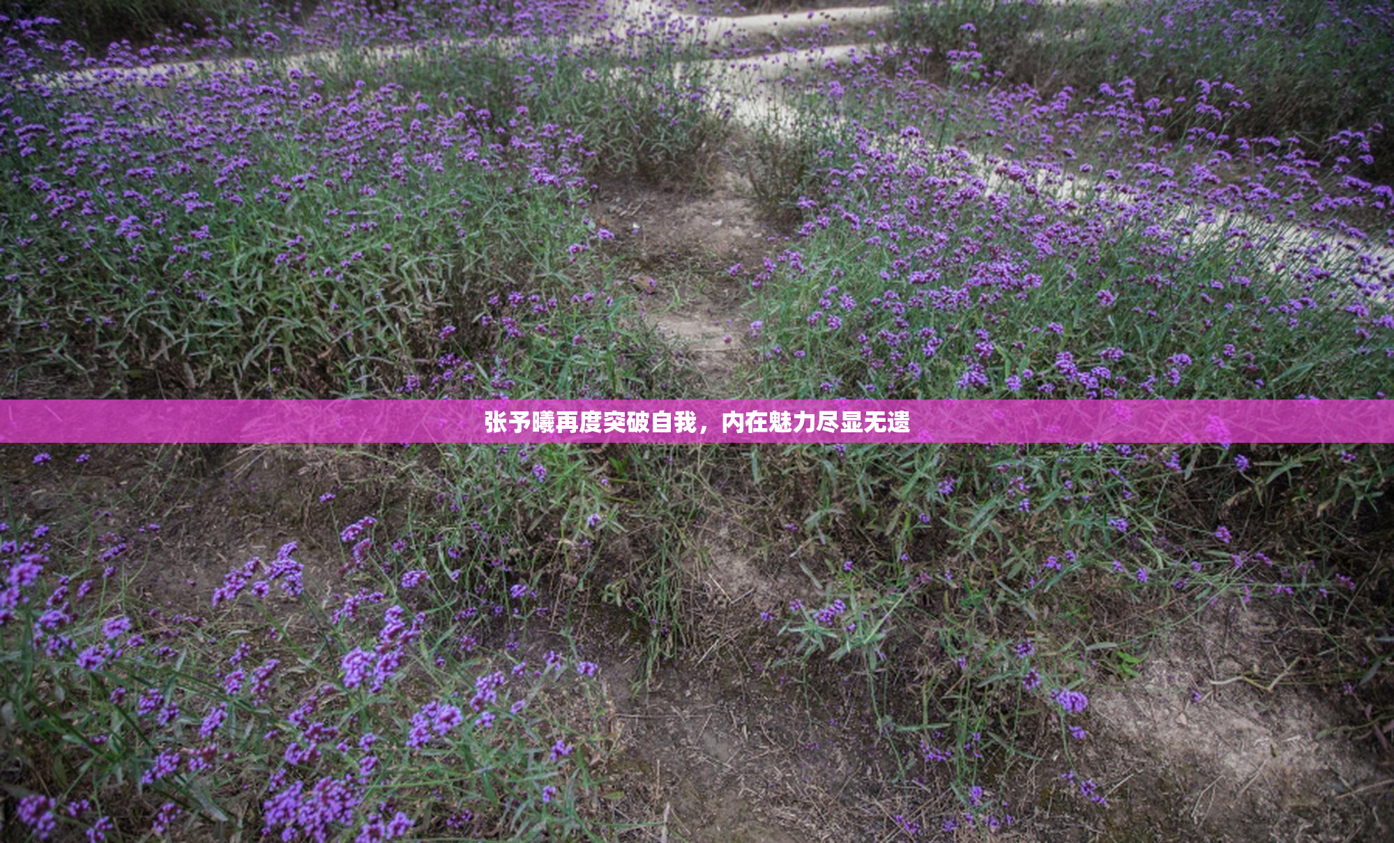 张予曦再度突破自我，内在魅力尽显无遗