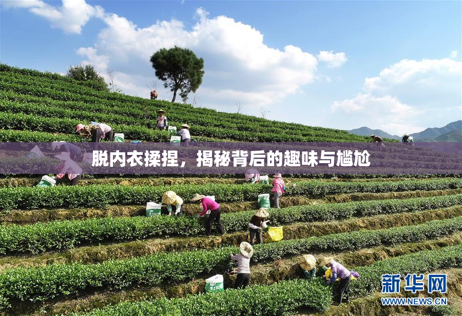 脱内衣揉捏，揭秘背后的趣味与尴尬