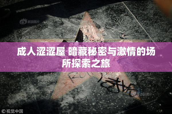 成人涩涩屋 暗藏秘密与激情的场所探索之旅