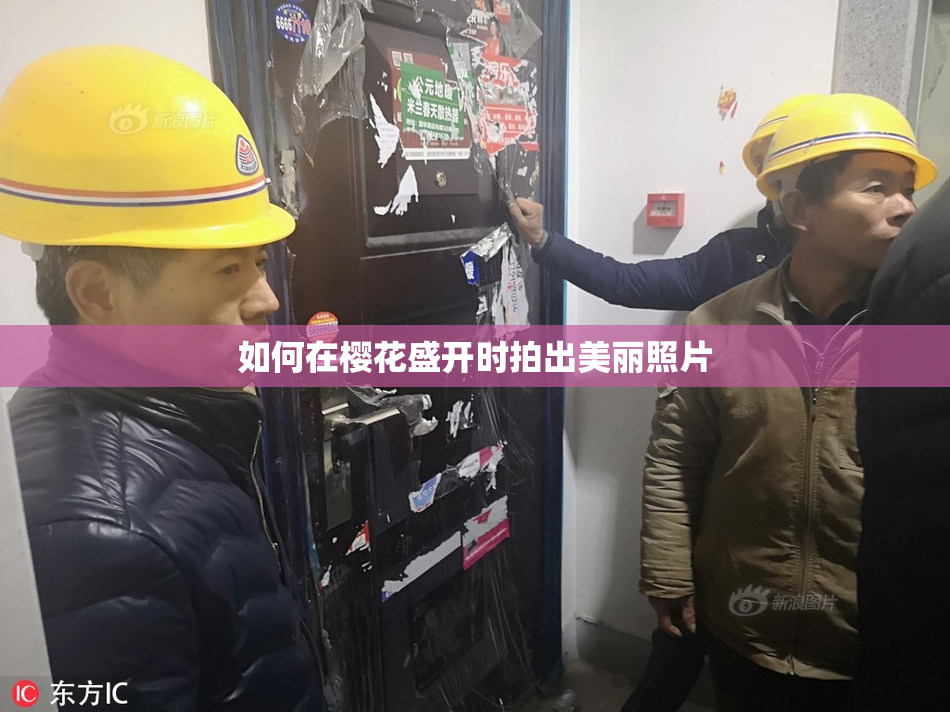 如何在樱花盛开时拍出美丽照片