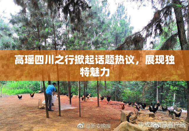 高瑶四川之行掀起话题热议，展现独特魅力