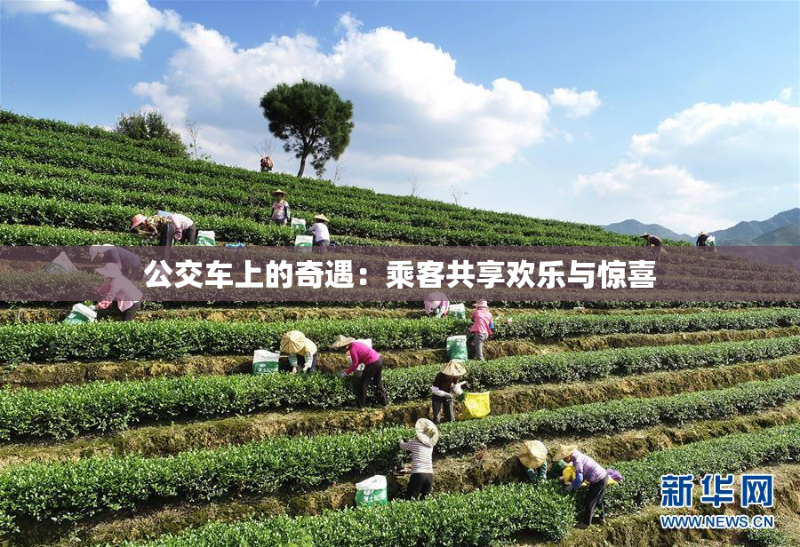 公交车上的奇遇：乘客共享欢乐与惊喜