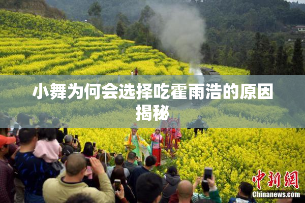 小舞为何会选择吃霍雨浩的原因揭秘