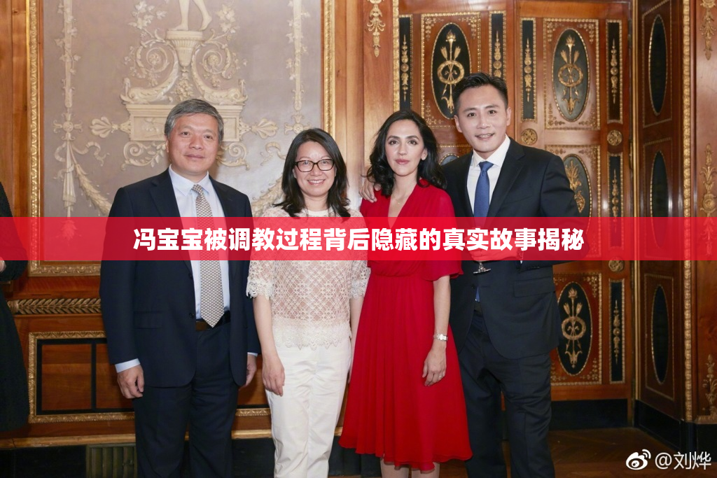 冯宝宝被调教过程背后隐藏的真实故事揭秘