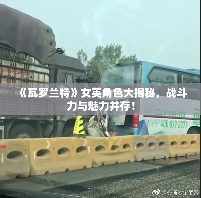 《瓦罗兰特》女英角色大揭秘，战斗力与魅力并存！