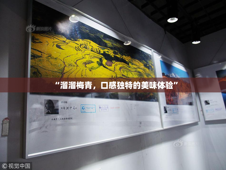 “溜溜梅青，口感独特的美味体验”