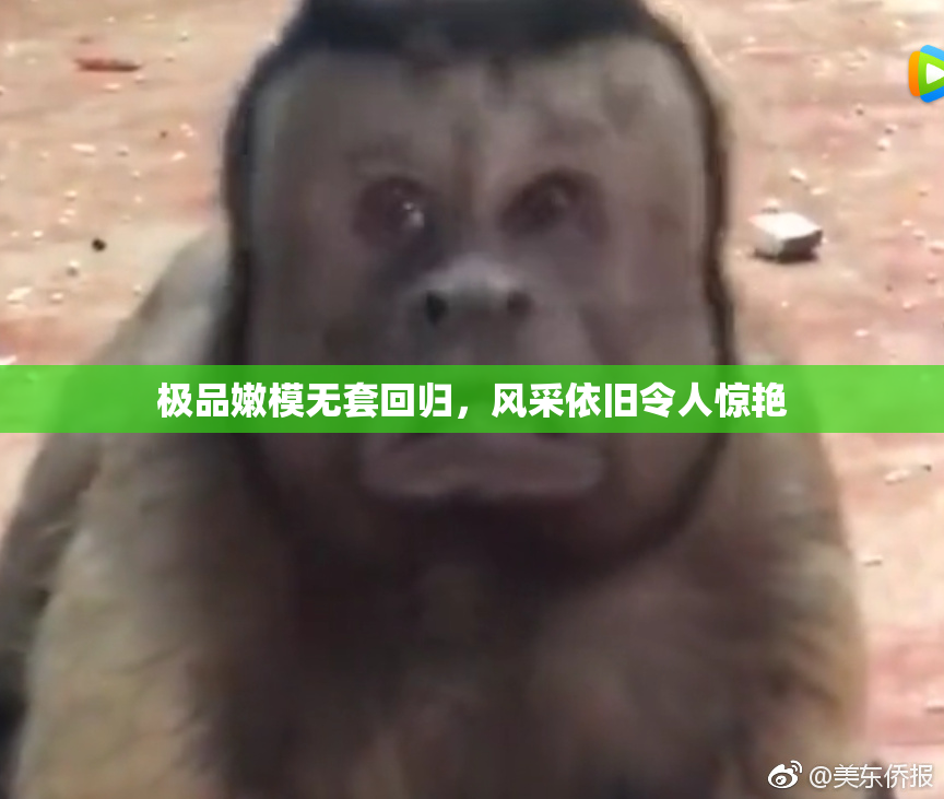 极品嫩模无套回归，风采依旧令人惊艳