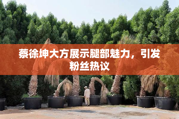 蔡徐坤大方展示腿部魅力，引发粉丝热议