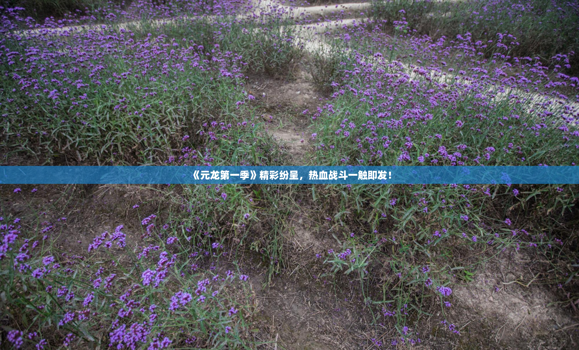 《元龙第一季》精彩纷呈，热血战斗一触即发！
