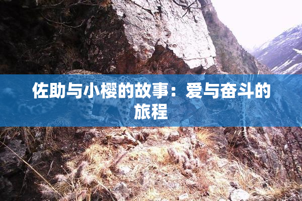 佐助与小樱的故事：爱与奋斗的旅程