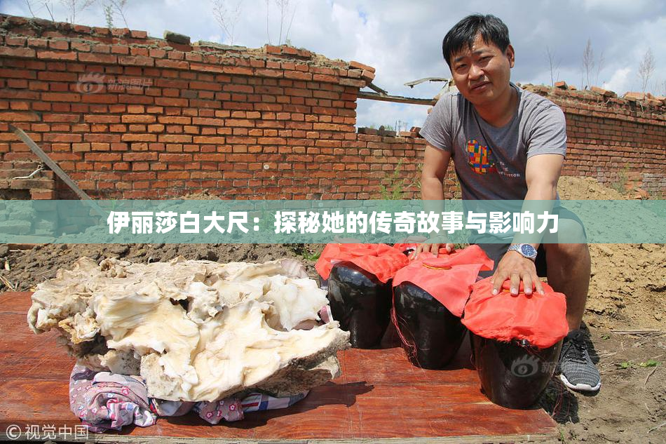 伊丽莎白大尺：探秘她的传奇故事与影响力