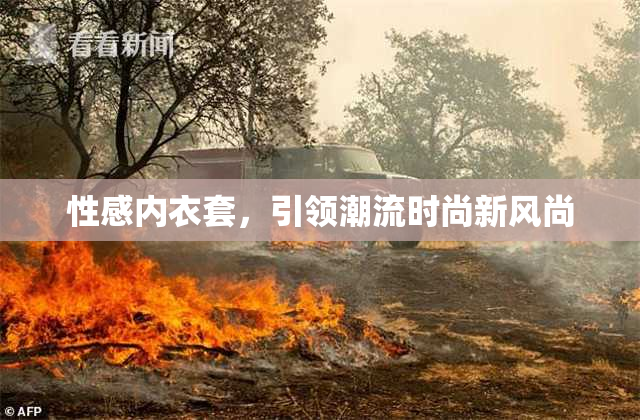 性感内衣套，引领潮流时尚新风尚