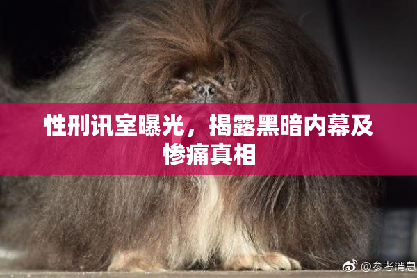 性刑讯室曝光，揭露黑暗内幕及惨痛真相