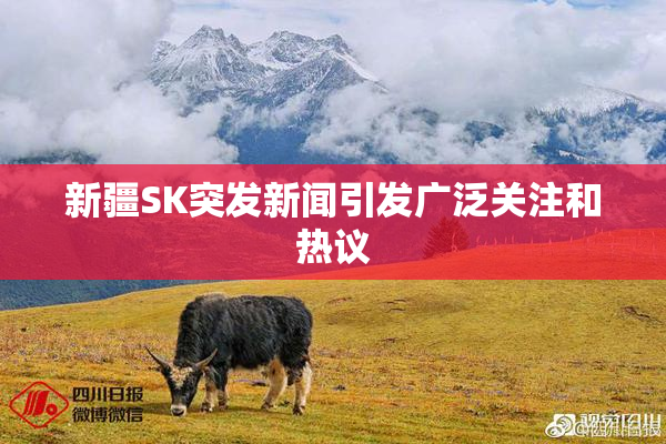 新疆SK突发新闻引发广泛关注和热议