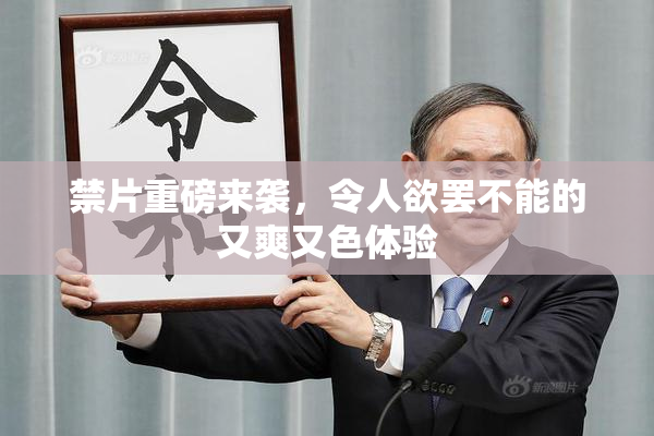 禁片重磅来袭，令人欲罢不能的又爽又色体验