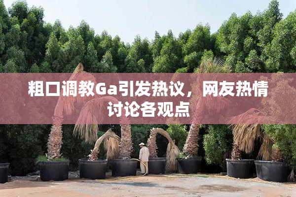 粗口调教Ga引发热议，网友热情讨论各观点