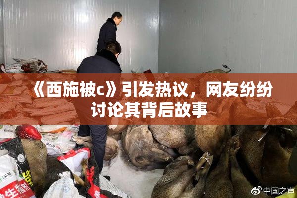 《西施被c》引发热议，网友纷纷讨论其背后故事
