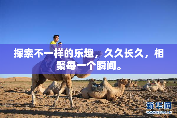 探索不一样的乐趣，久久长久，相聚每一个瞬间。