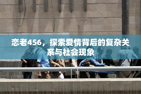 恋老456，探索爱情背后的复杂关系与社会现象