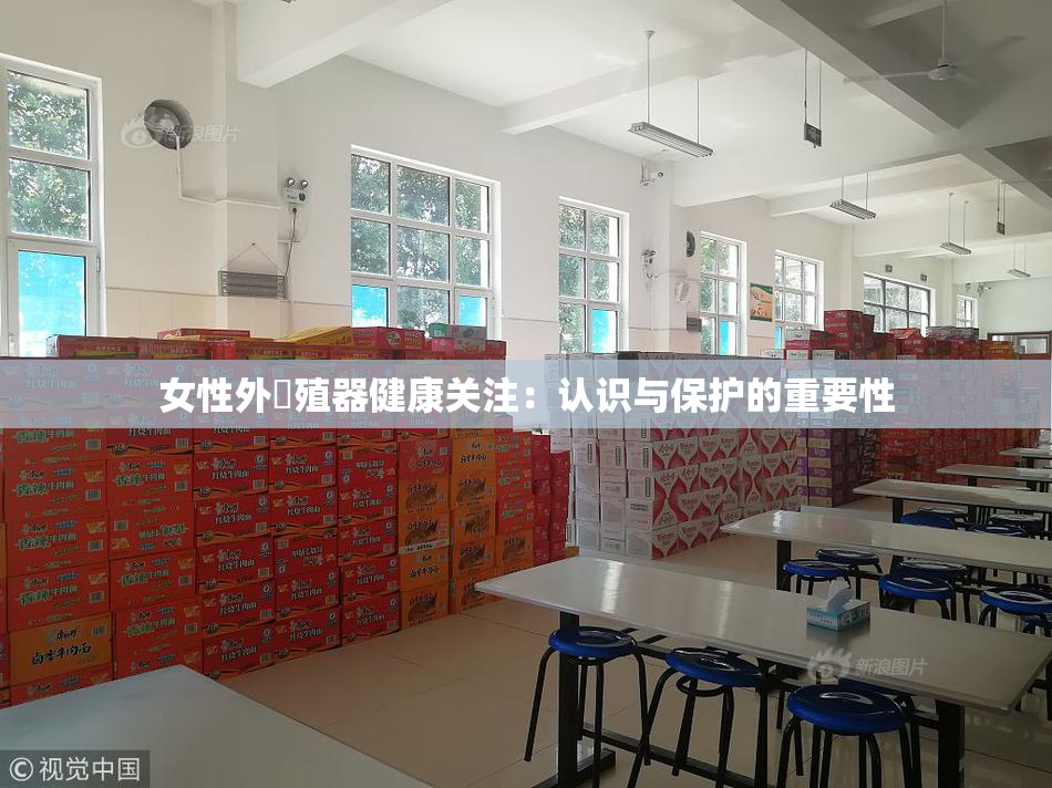女性外夝殖器健康关注：认识与保护的重要性