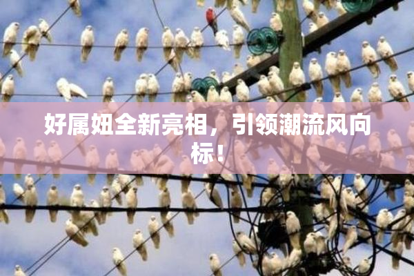 好属妞全新亮相，引领潮流风向标！