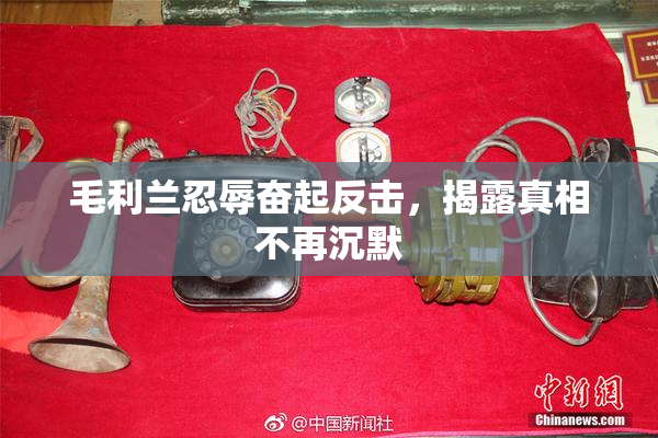 毛利兰忍辱奋起反击，揭露真相不再沉默