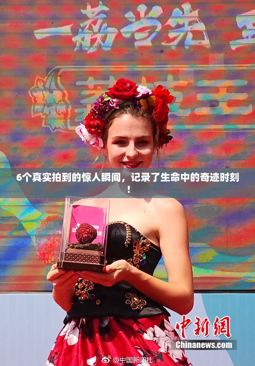 6个真实拍到的惊人瞬间，记录了生命中的奇迹时刻！