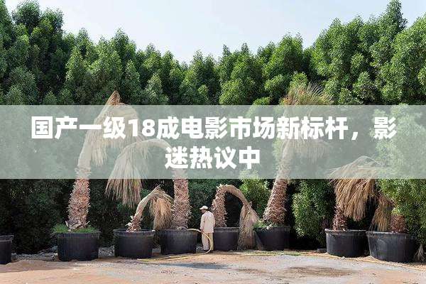 国产一级18成电影市场新标杆，影迷热议中