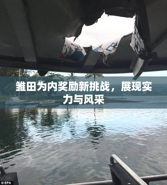 雏田为内奖励新挑战，展现实力与风采