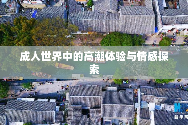 成人世界中的高潮体验与情感探索