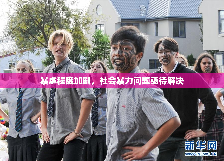 暴虐程度加剧，社会暴力问题亟待解决