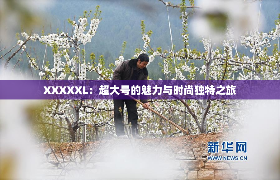 XXXXXL：超大号的魅力与时尚独特之旅
