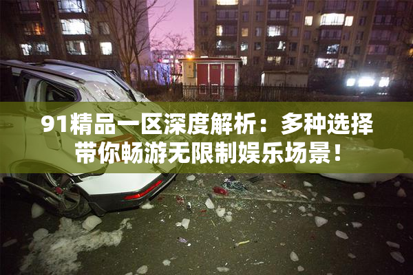 91精品一区深度解析：多种选择带你畅游无限制娱乐场景！
