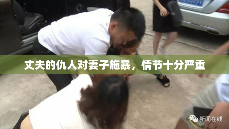 丈夫的仇人对妻子施暴，情节十分严重