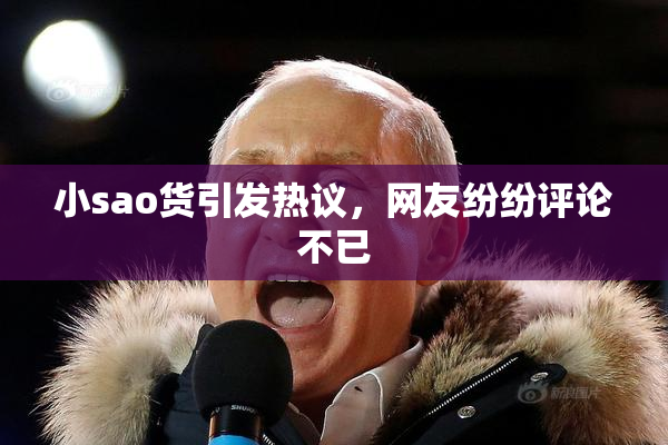 小sao货引发热议，网友纷纷评论不已