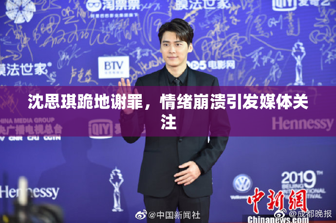 沈思琪跪地谢罪，情绪崩溃引发媒体关注