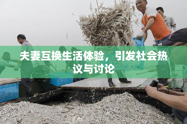 夫妻互换生活体验，引发社会热议与讨论