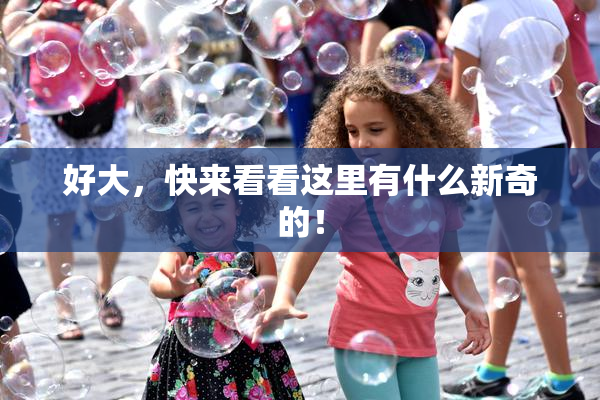 好大，快来看看这里有什么新奇的！