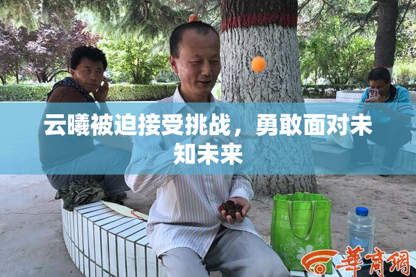 云曦被迫接受挑战，勇敢面对未知未来
