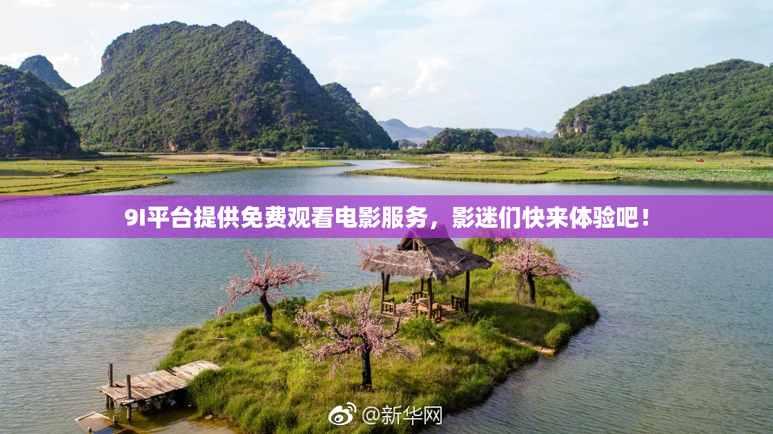 9I平台提供免费观看电影服务，影迷们快来体验吧！