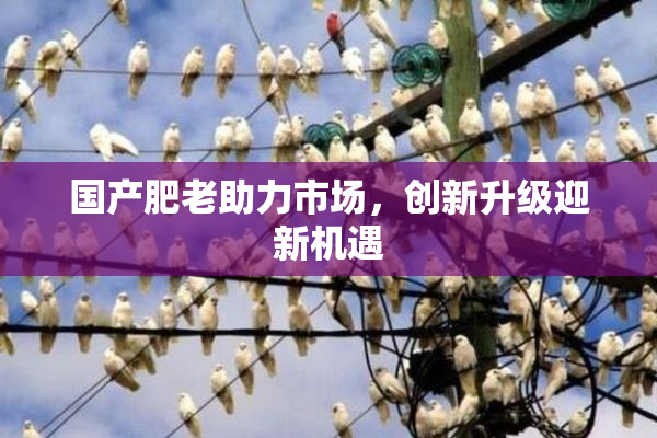 国产肥老助力市场，创新升级迎新机遇