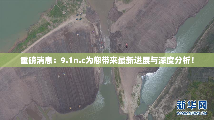 重磅消息：9.1n.c为您带来最新进展与深度分析！