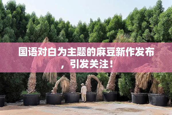 国语对白为主题的麻豆新作发布，引发关注！