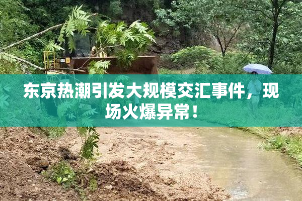 东京热潮引发大规模交汇事件，现场火爆异常！
