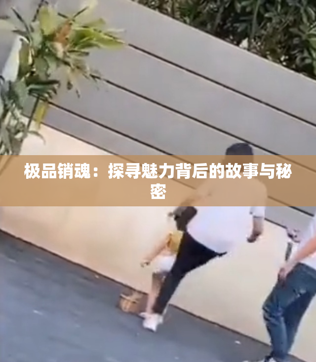 极品销魂：探寻魅力背后的故事与秘密